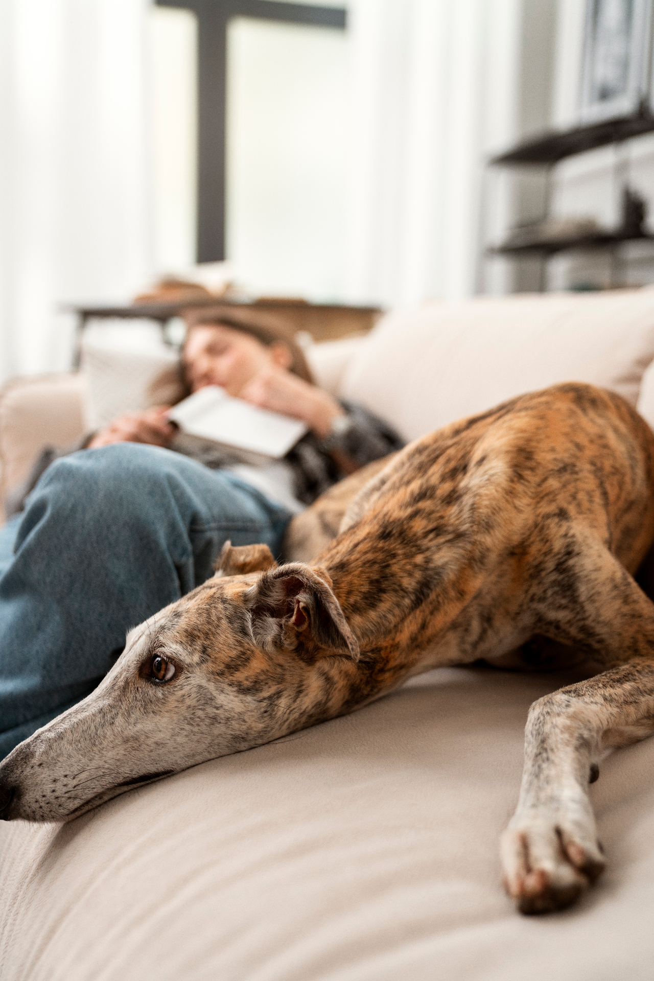 Pol descansando en el sofá con su familia